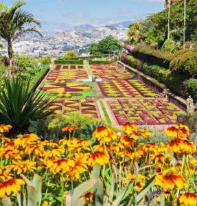 Madeira 3